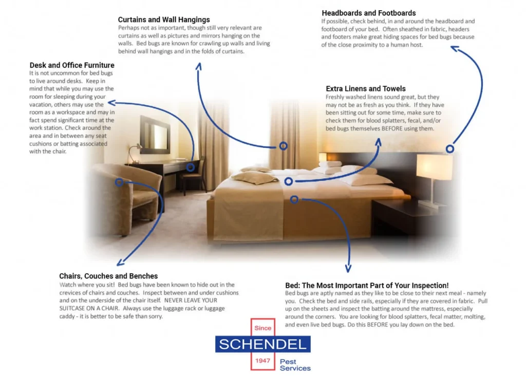 Infographic displaying common areas for bed bugs in hotel rooms - Schendel Pest Services